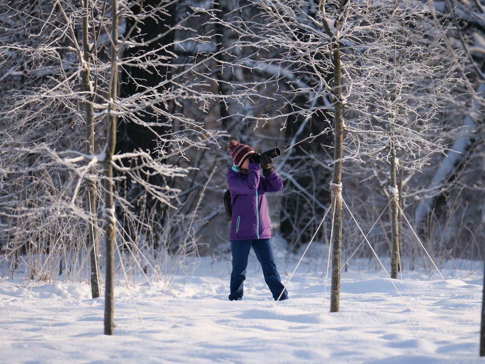 Photograph by Вера Машина