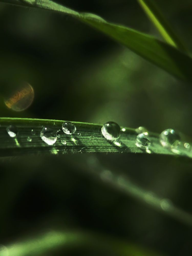 Photograph by Ольга Мокрова