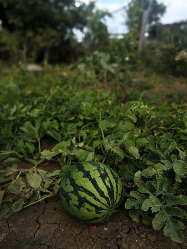 Photograph by Ольга Мокрова