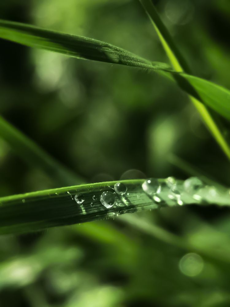 Photograph by Ольга Мокрова