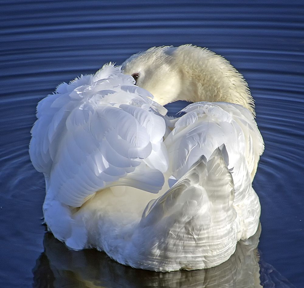 Фотография автора Александр