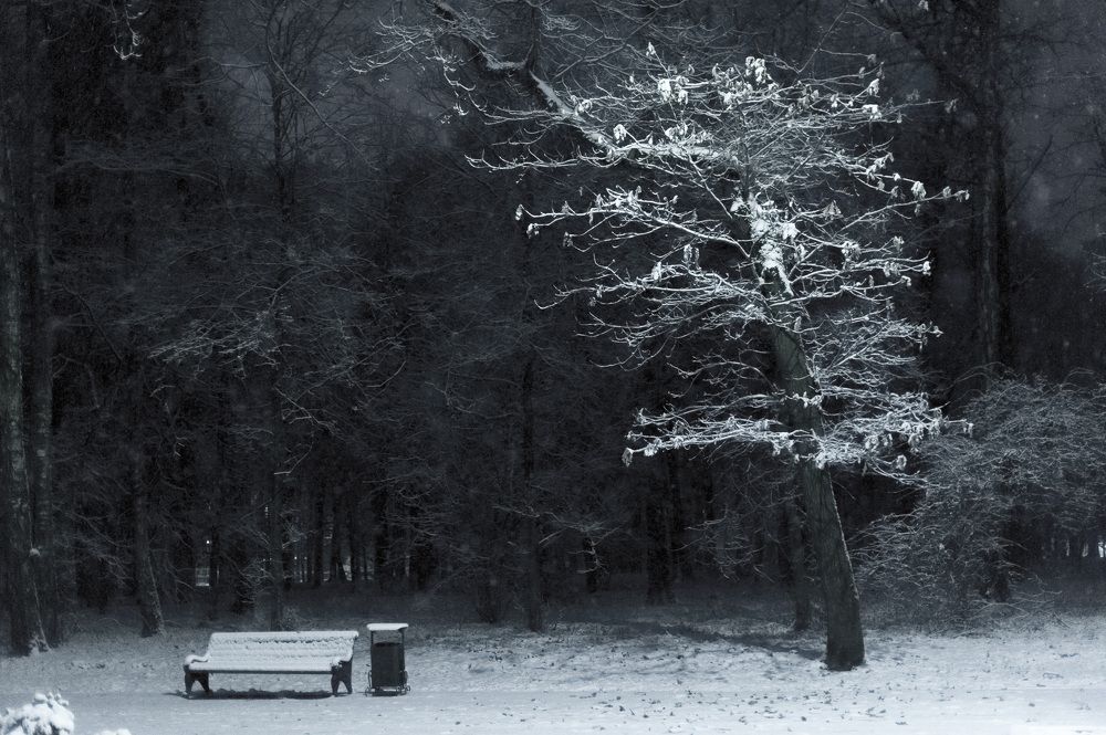 Photograph by Боков Павел