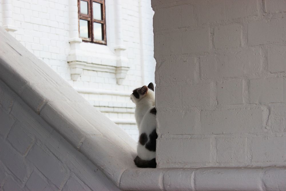 Photograph by Anastasia Kodatenko