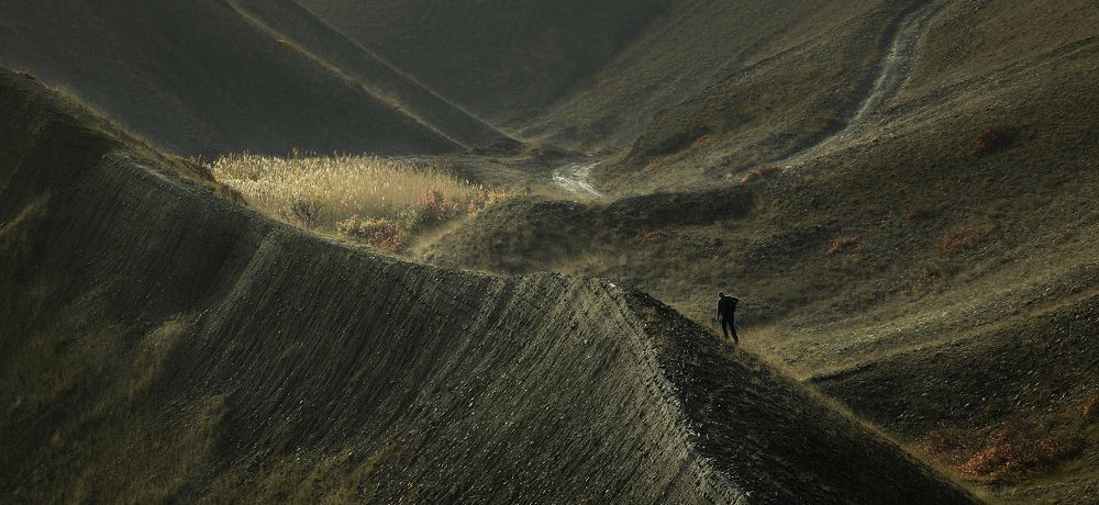 Photograph by Dar Veter