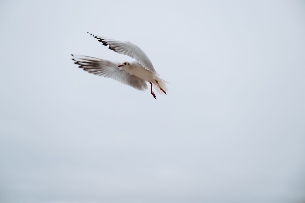 Photograph by Светлана