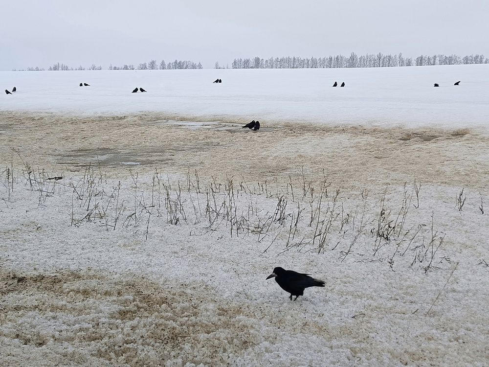 Photograph by Кондрашова Светлана