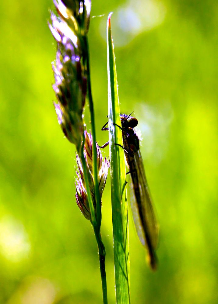 Photograph by Татьяна Слесарева