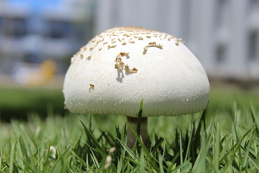 Фотография автора Jose Otero