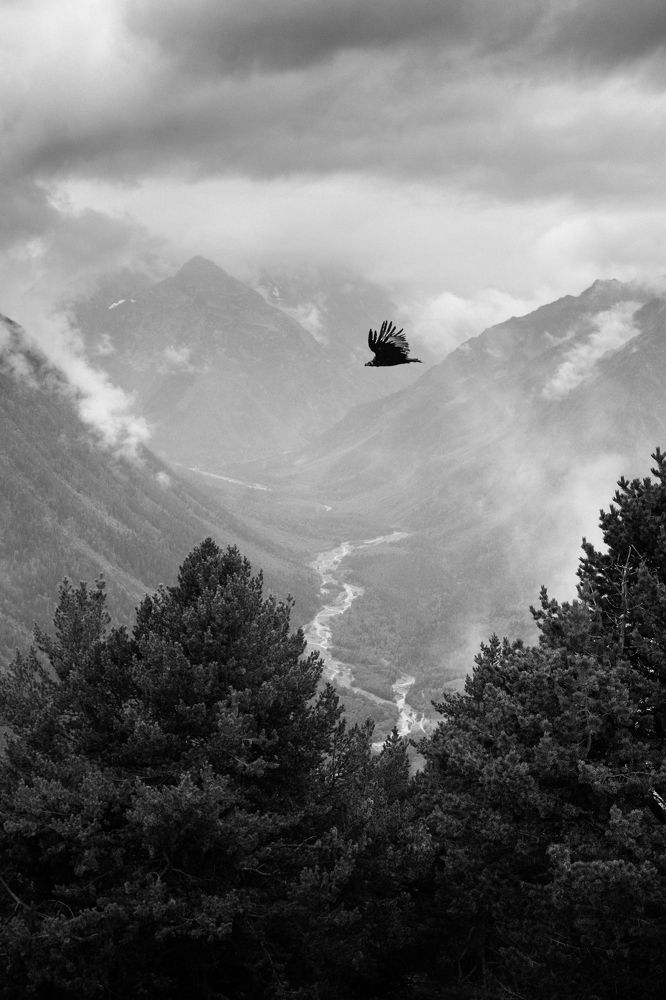 Photograph by Юрий Шумейко