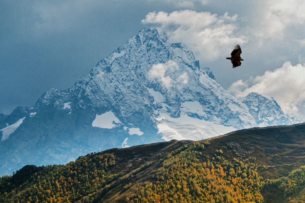 Photograph by Юрий Шумейко