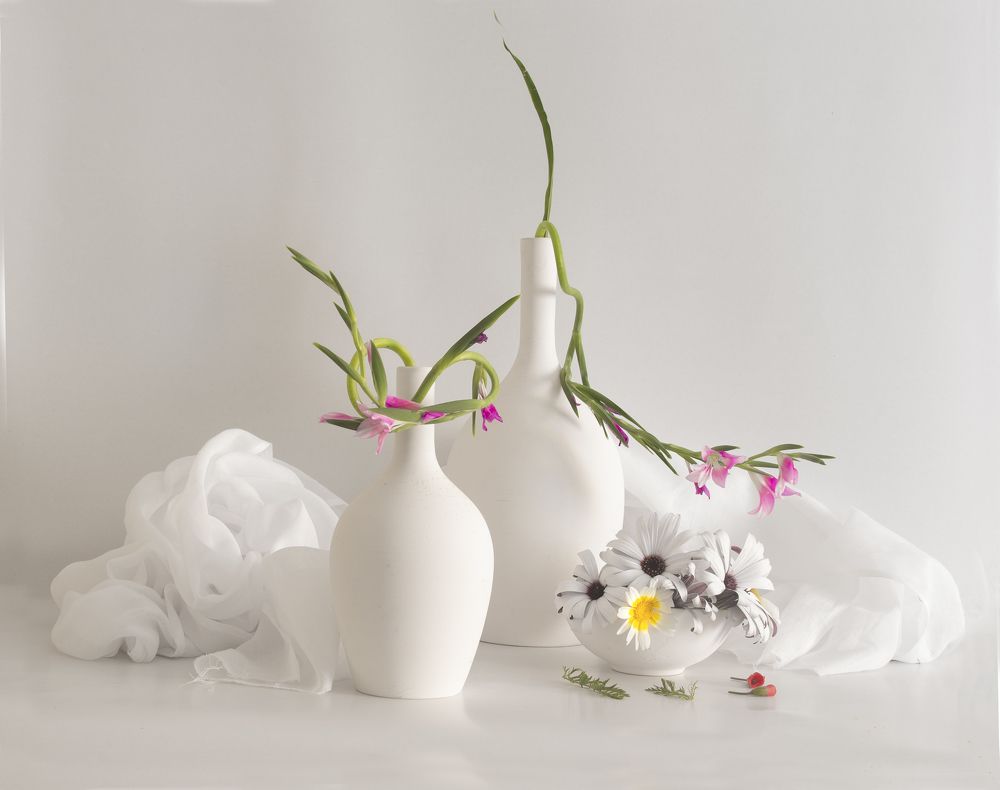 Photograph by mehmet enver karanfil