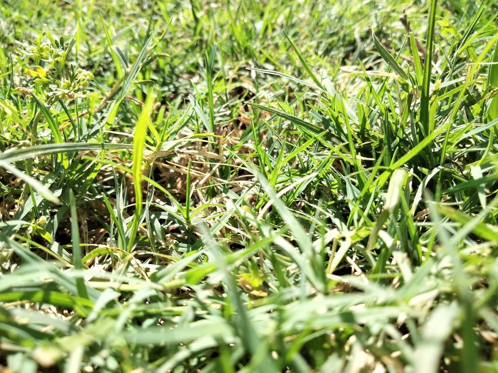 Photograph by Batool Sana