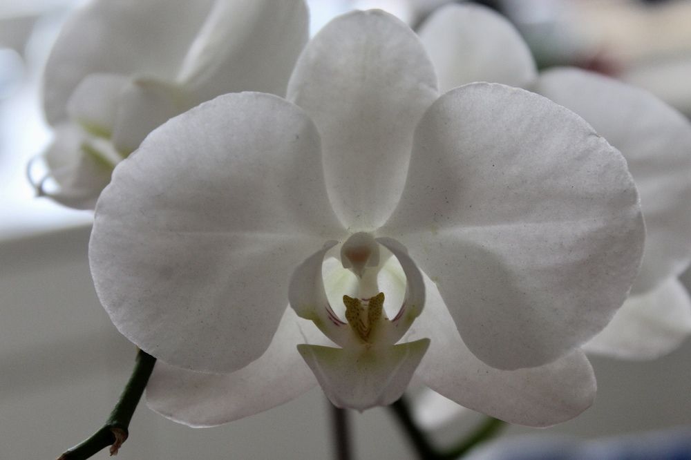 Фотография автора Jose Otero