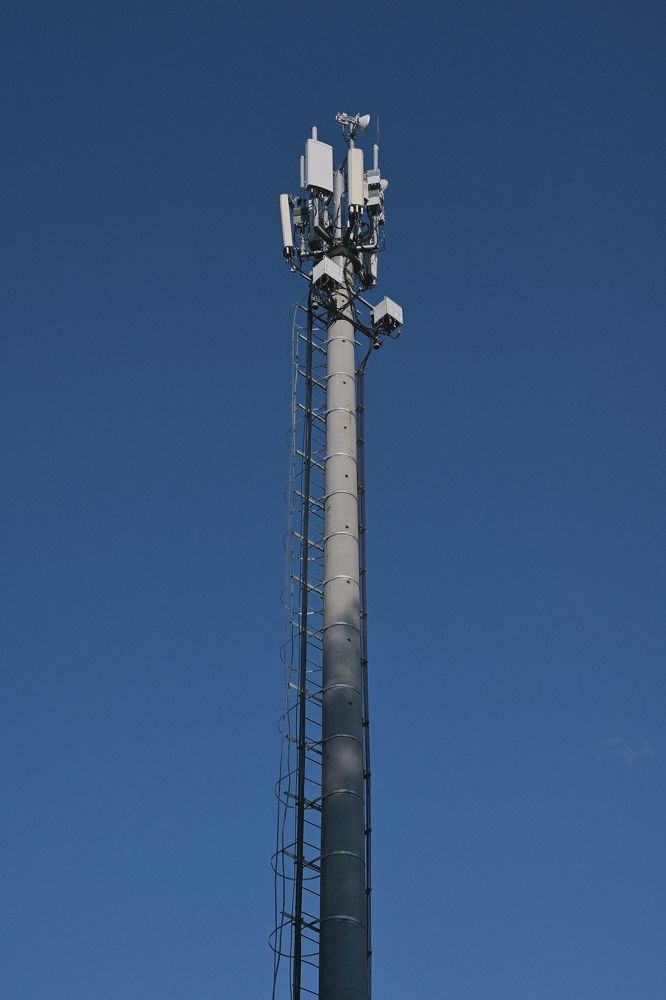 Фотография автора Екатерина Высоцкая