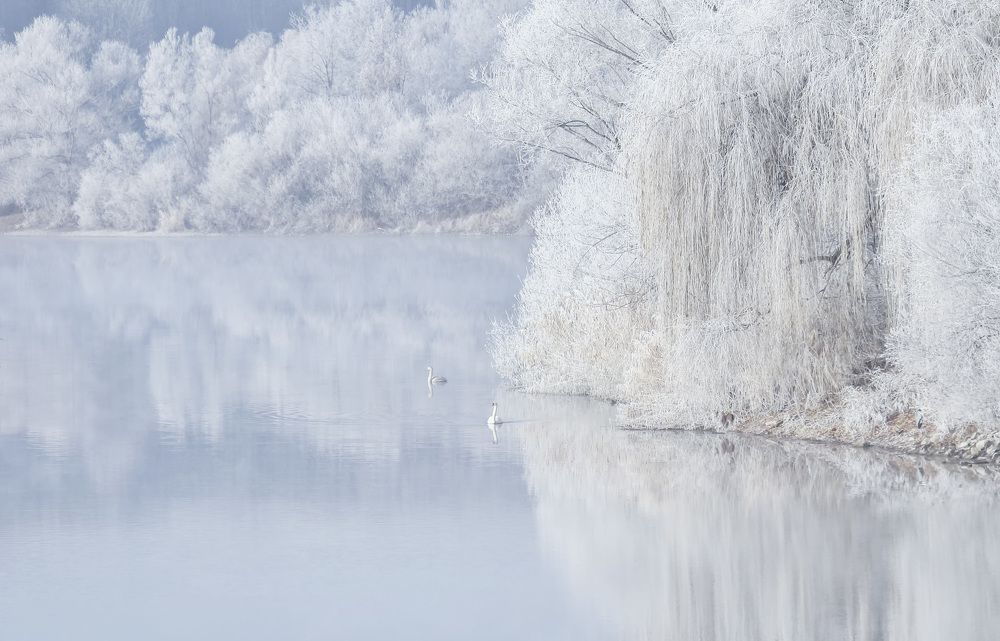 Фотография автора Александр
