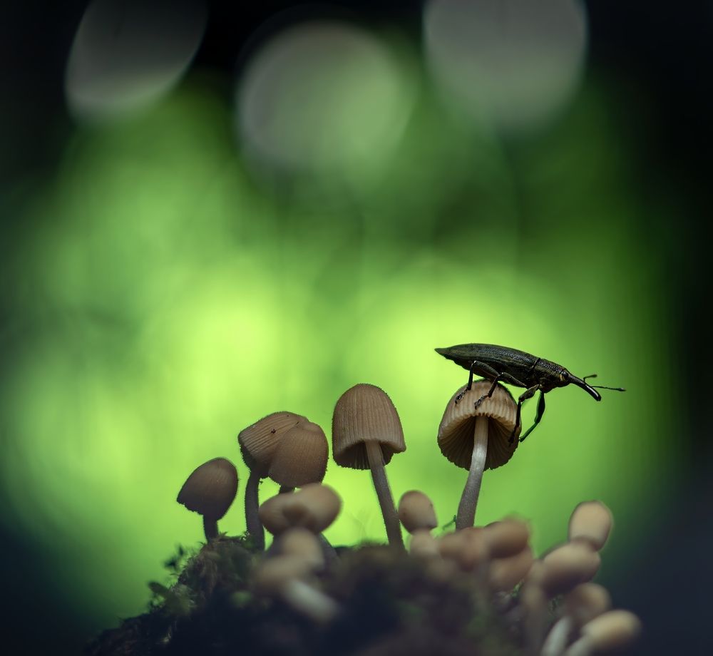 Photograph by Людмила Железнова