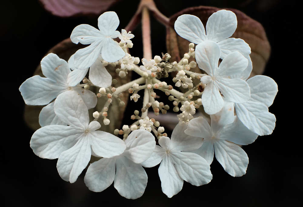 Фотография автора Ekaterina Palant