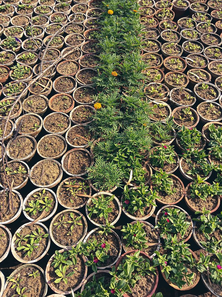 Photograph by Shahzad