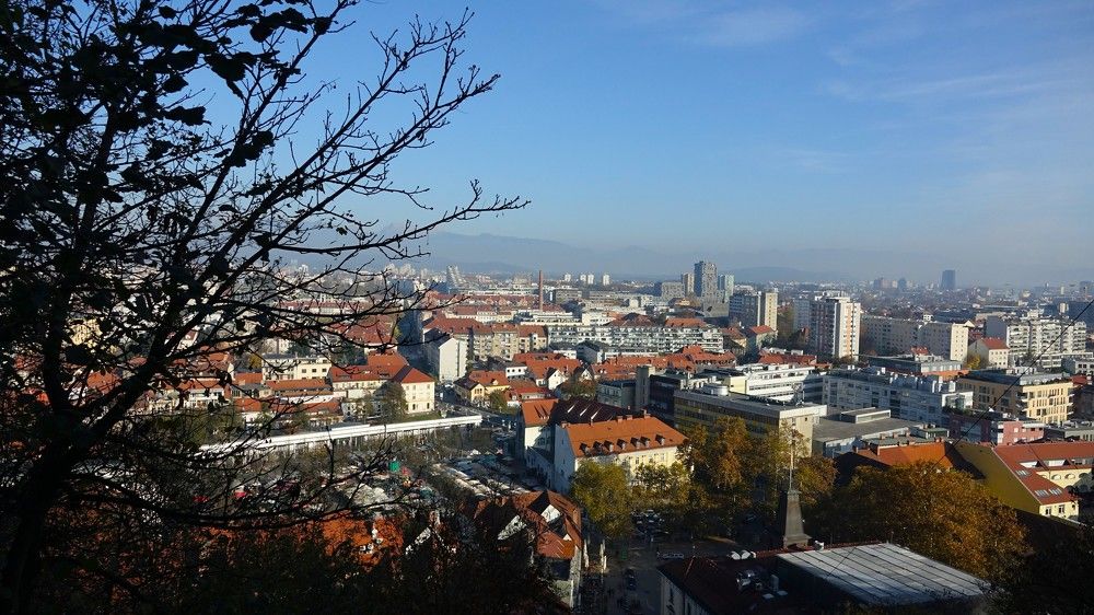 Photograph by jelena konickaja