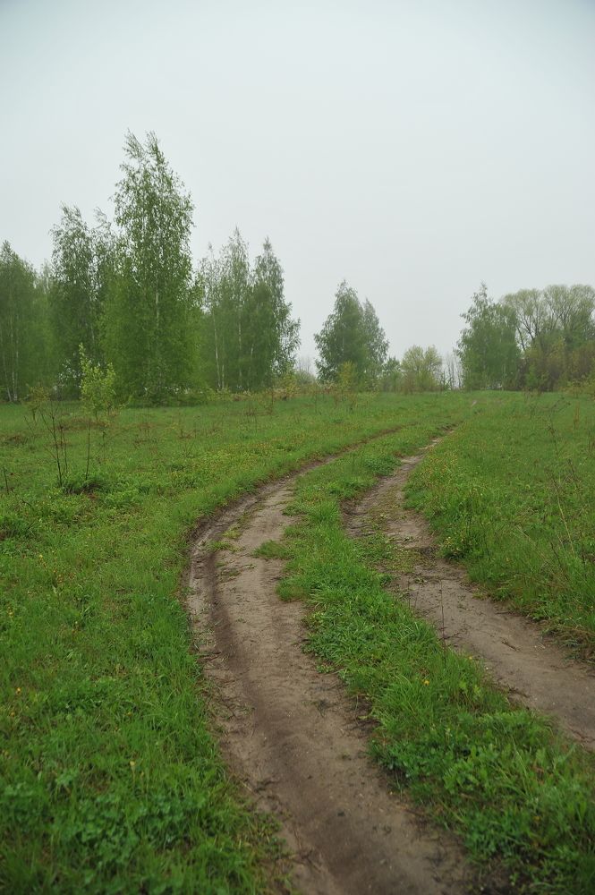 Photograph by Cергей Абакумов