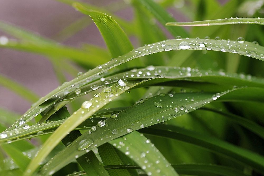 Photograph by Cергей Абакумов