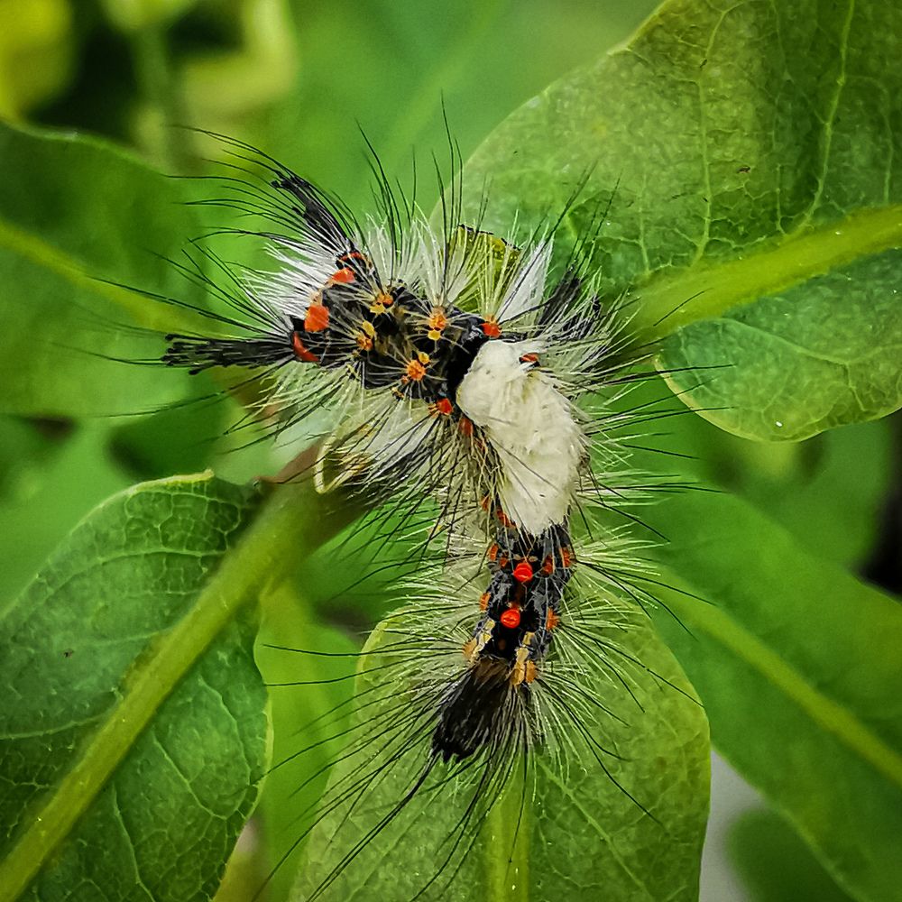 Photograph by Сергей Метлов