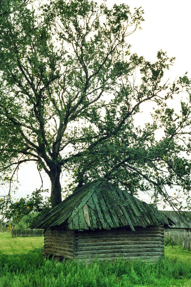 Photograph by Cергей Абакумов