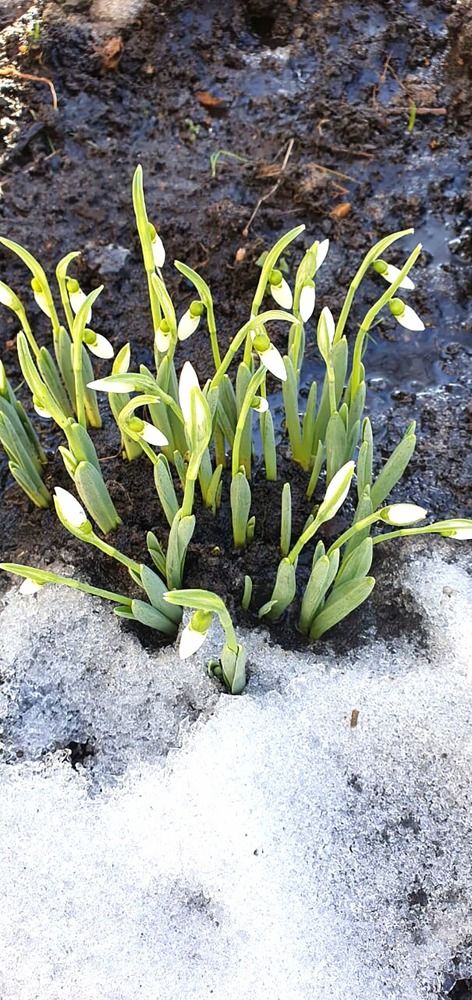 Photograph by Людмила Ковалева