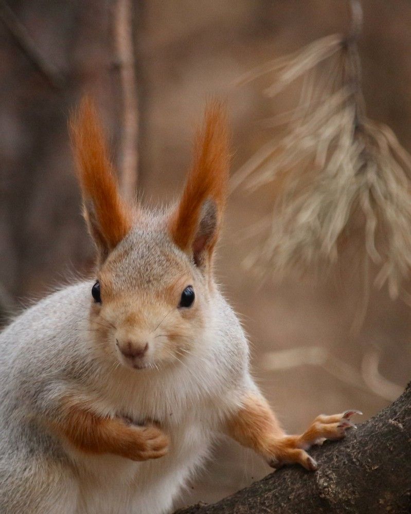 Photograph by Затямин Александр