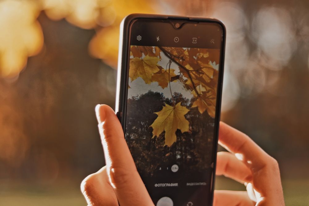 Photograph by Yana Egorova