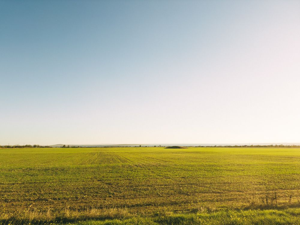 Photograph by Анна Голубцова