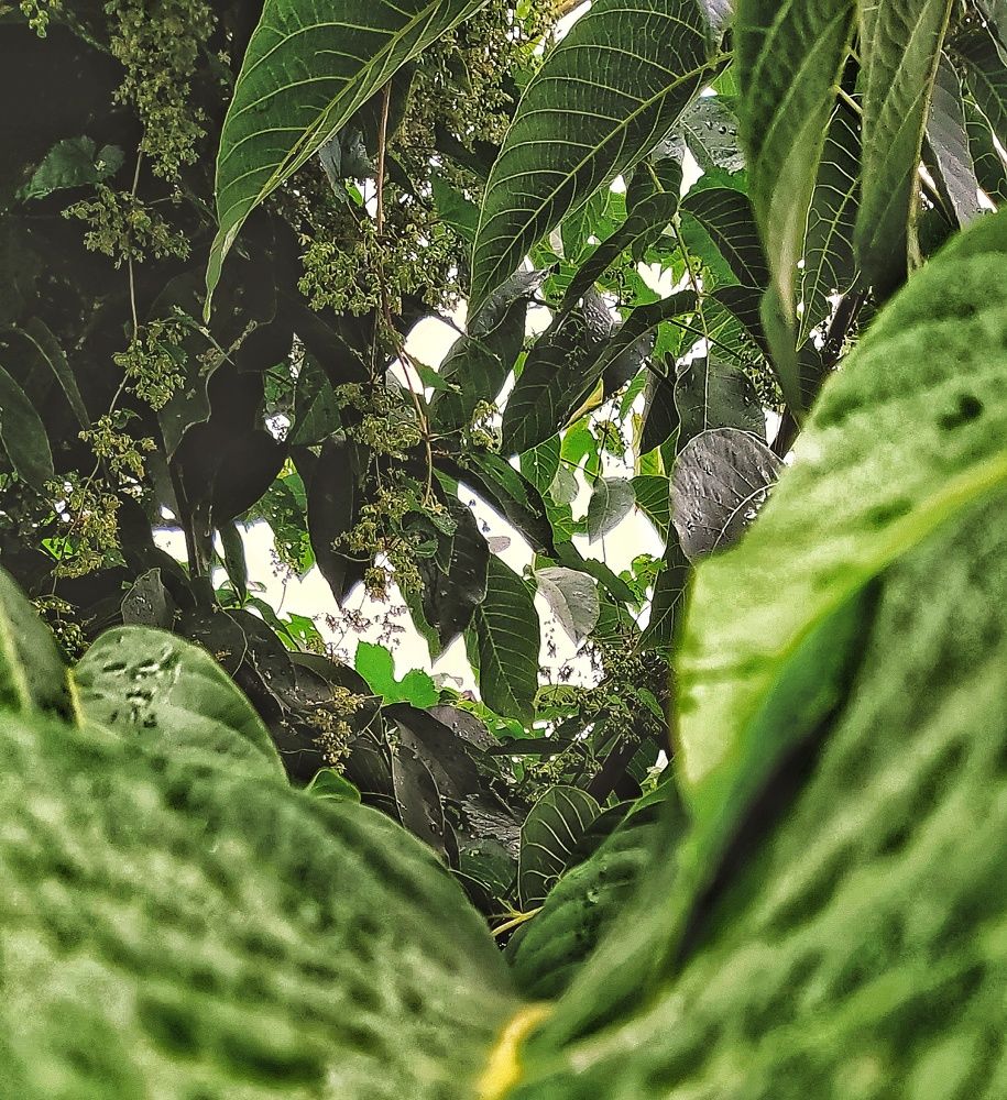 Фотография автора Шамиль