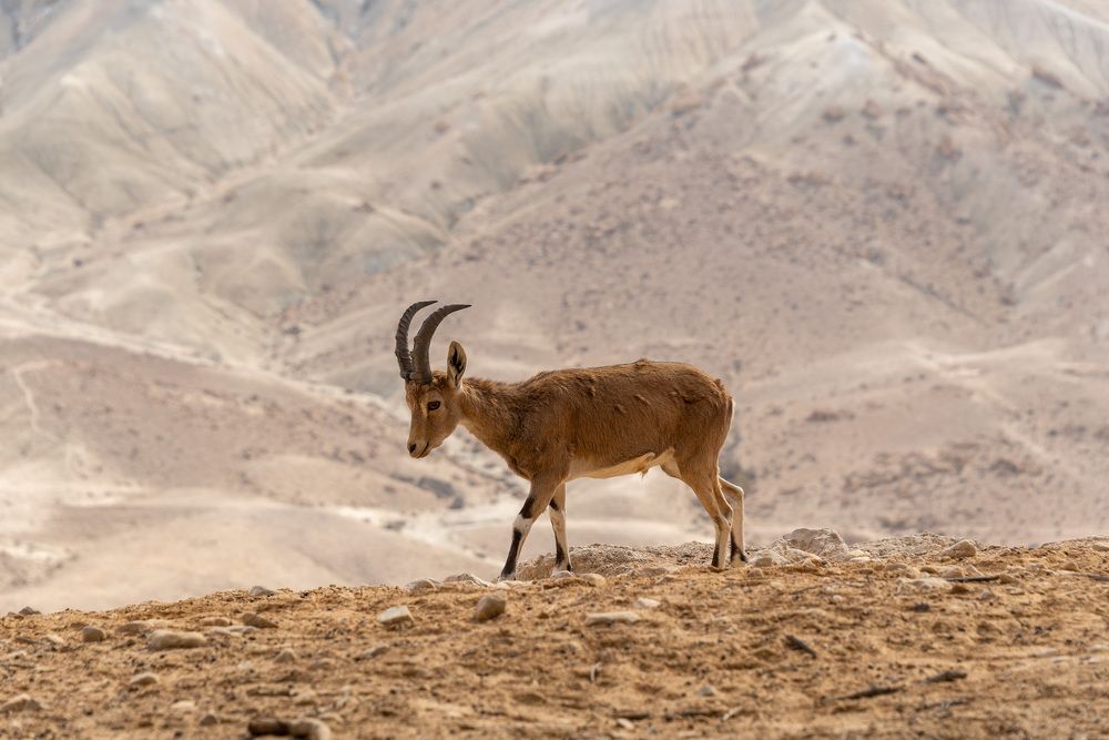 Photograph by Vladimir Bragilevsky