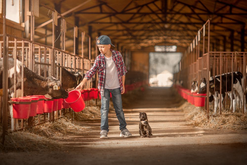 Photograph by Крикова Мария