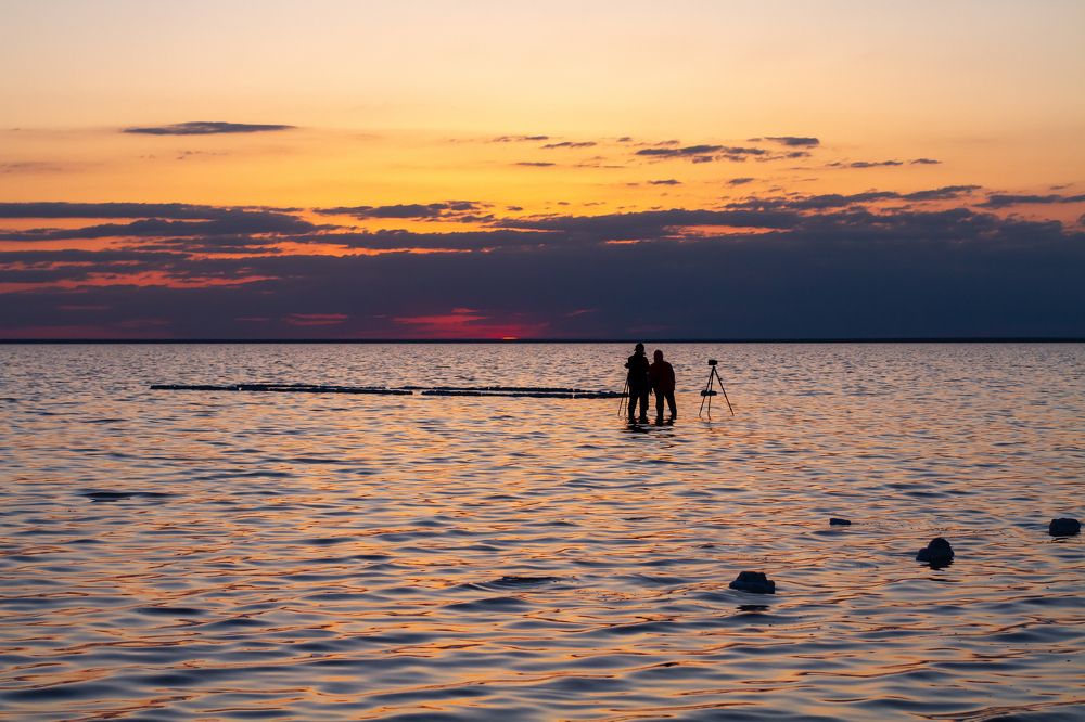 Photograph by Елена