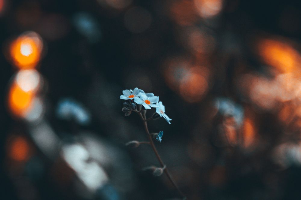 Photograph by Кристина Полякова