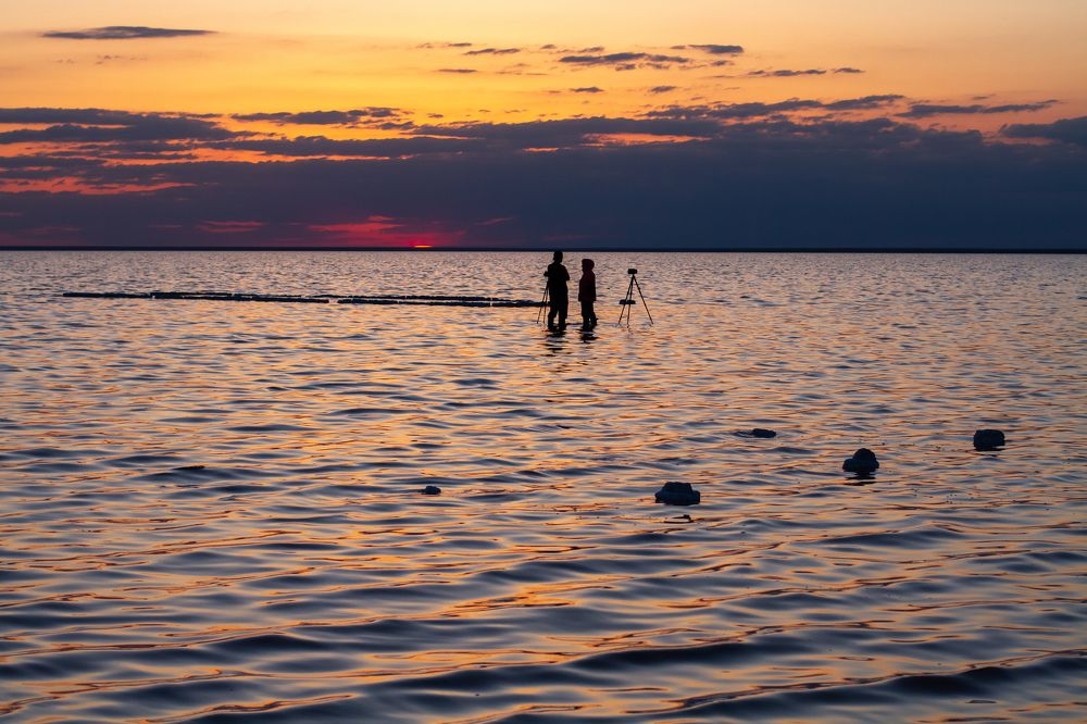 Photograph by Елена