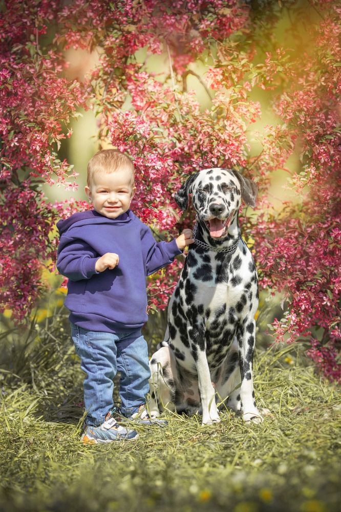 Photograph by Мария Романова