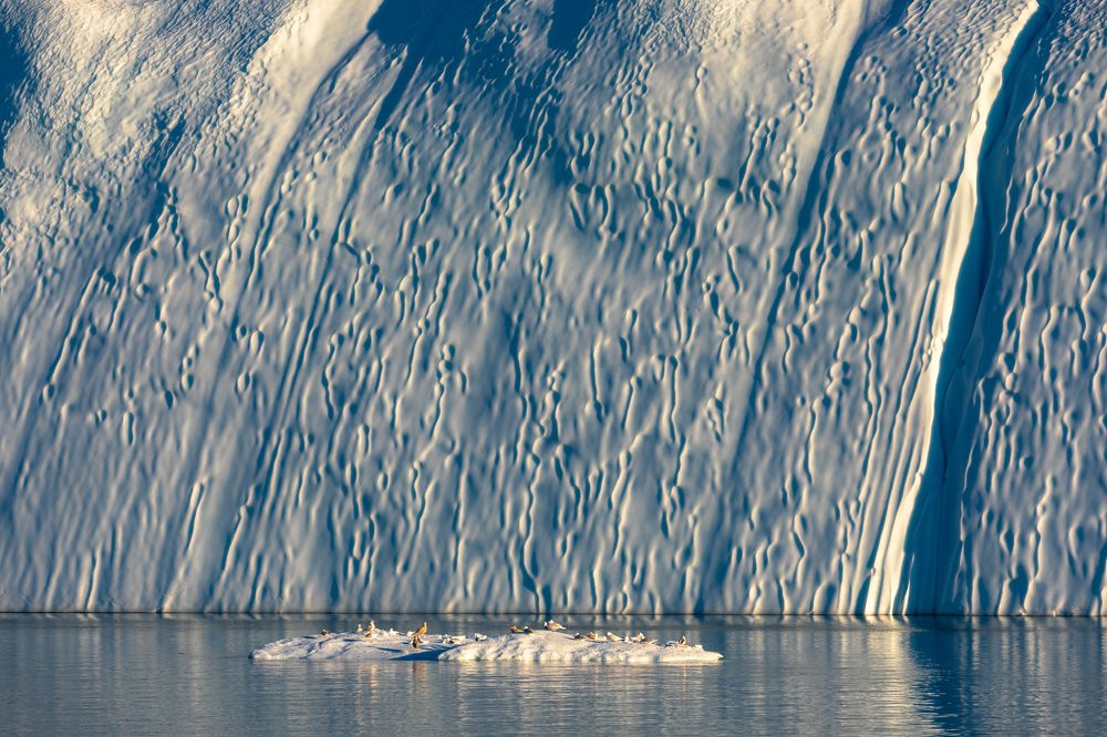 Photograph by Евгения Чех