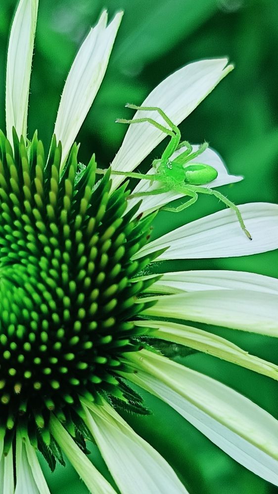 Photograph by Татьяна Пятернёва