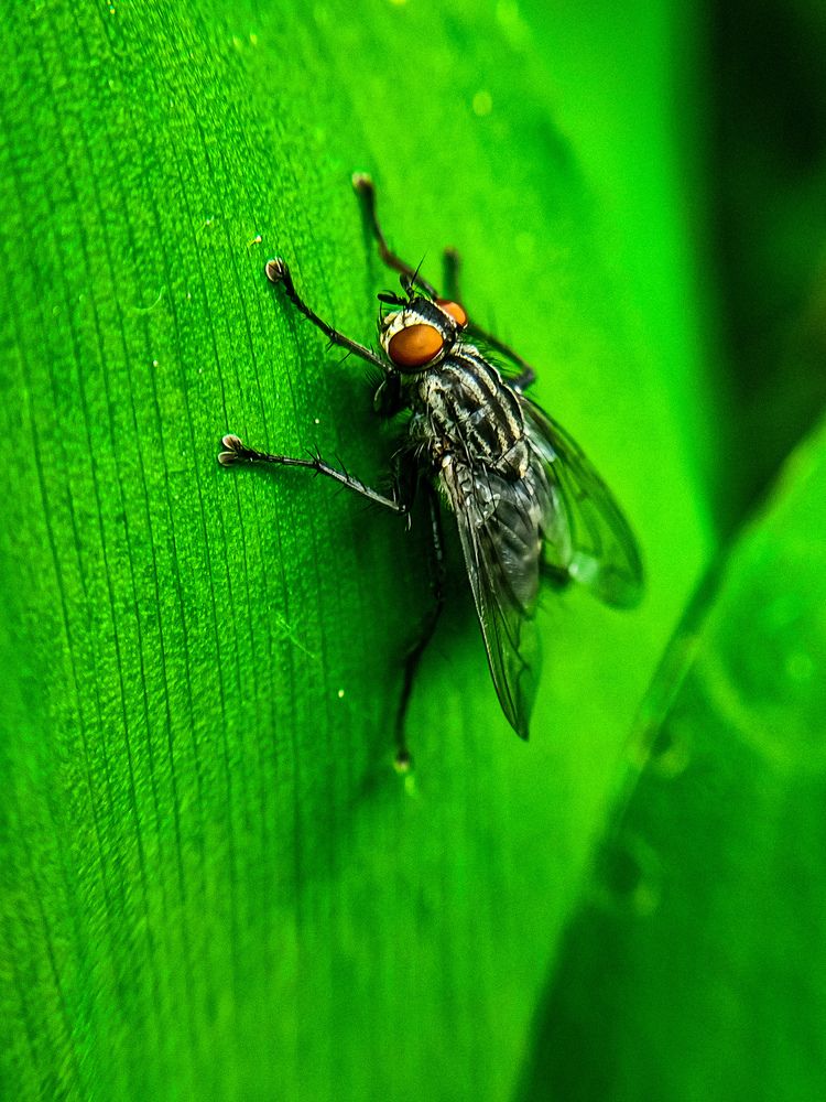 Фотография автора Нина Зинченко