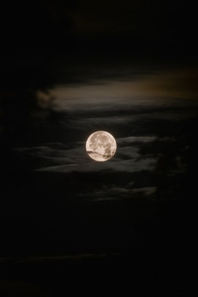 Photograph by Victor Mylov