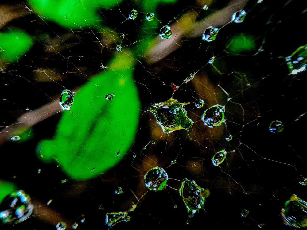 Фотография автора Нина Зинченко