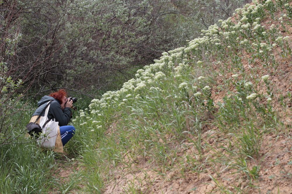 Photograph by Елена