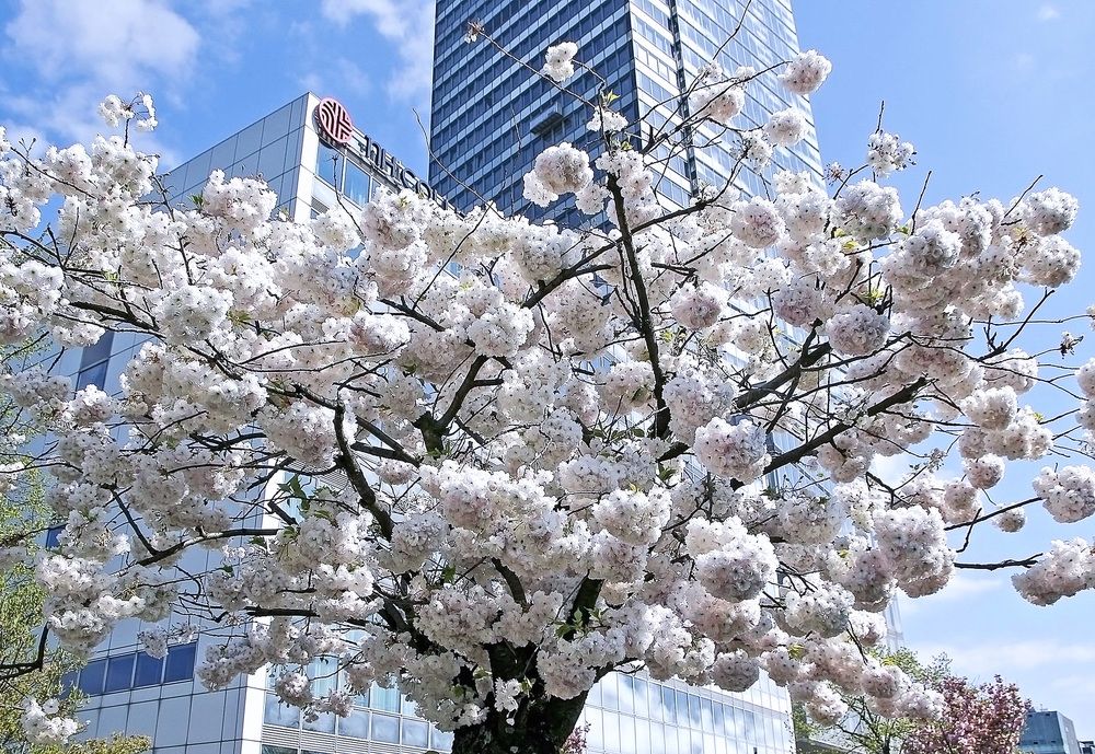 Фотография автора Александр