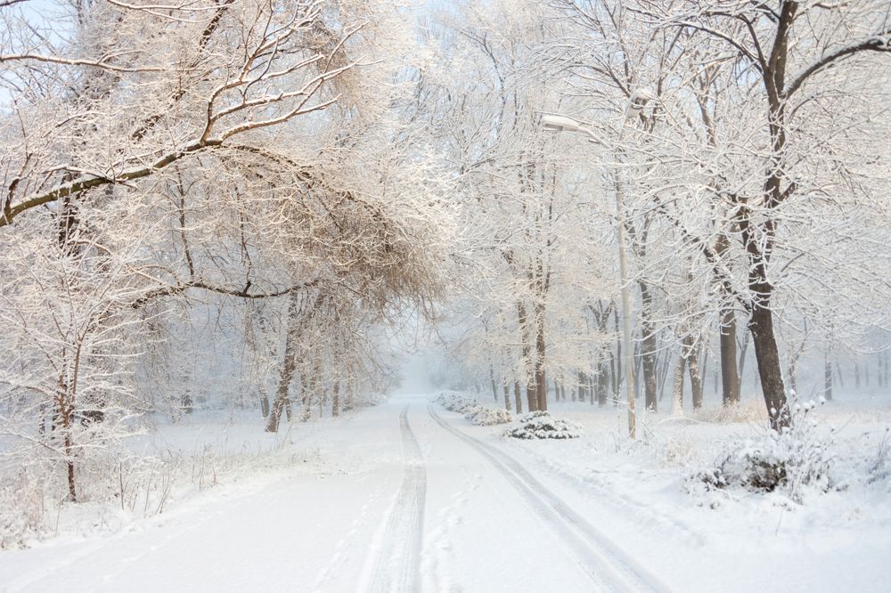 Photograph by Анна Иванова