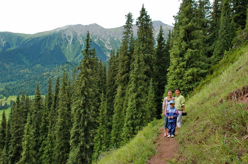 Фотография автора Сергей Тимофеев