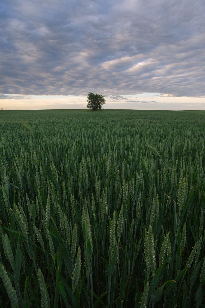 Photograph by Любослав Любомиров