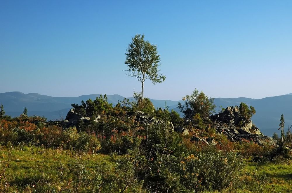 Фотография автора Сергей Тимофеев