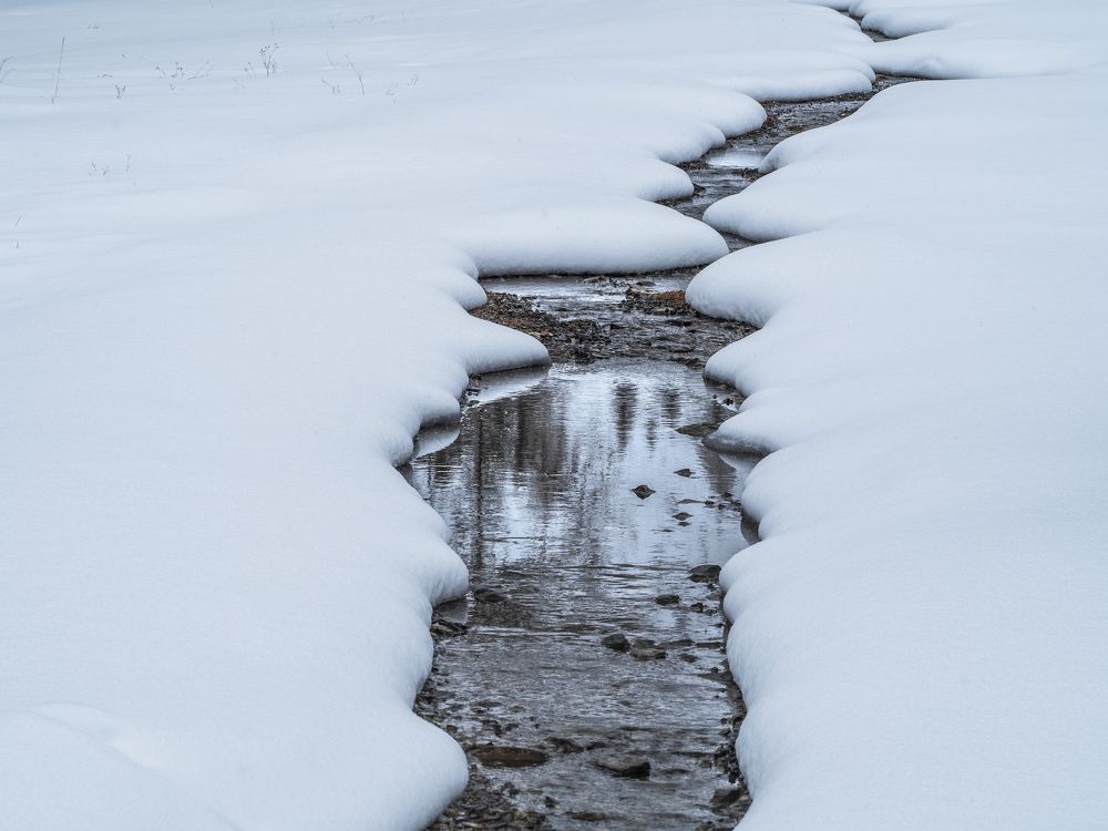 Photograph by Надежда Михайлина
